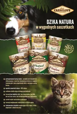 Aquael zoo - gazetka promocyjna Gazetka od środy 03.12 do środy 31.12 - strona 13