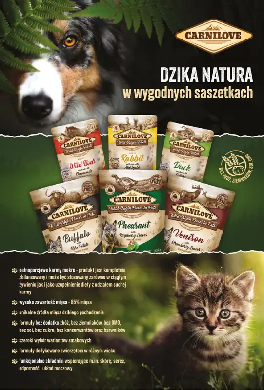 Aquael zoo - gazetka promocyjna Gazetka od środy 03.12 do środy 31.12 - strona 13