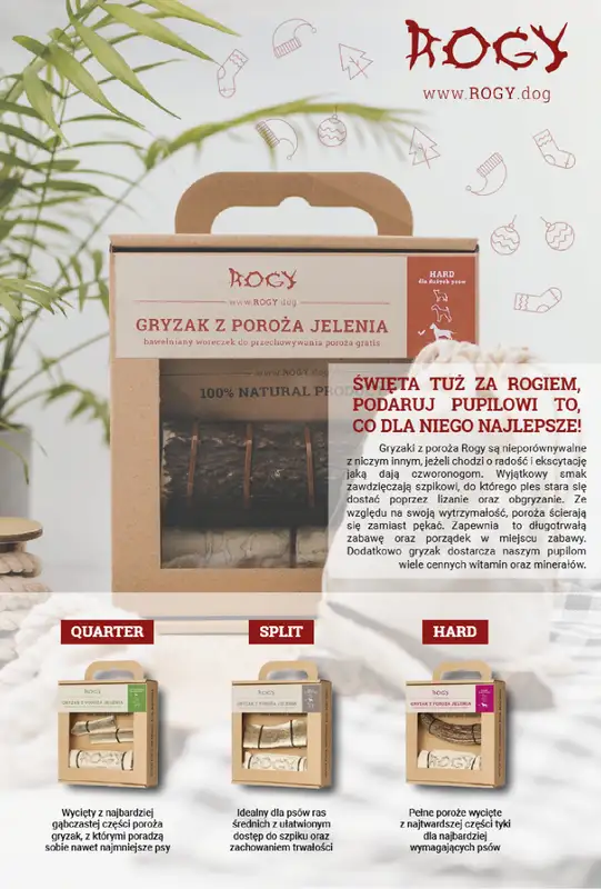 Aquael zoo - gazetka promocyjna Gazetka od środy 03.12 do środy 31.12 - strona 2