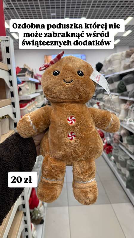 Pepco - gazetka promocyjna Zakupowe Inspiracje w Pepco od czwartku 04.12 