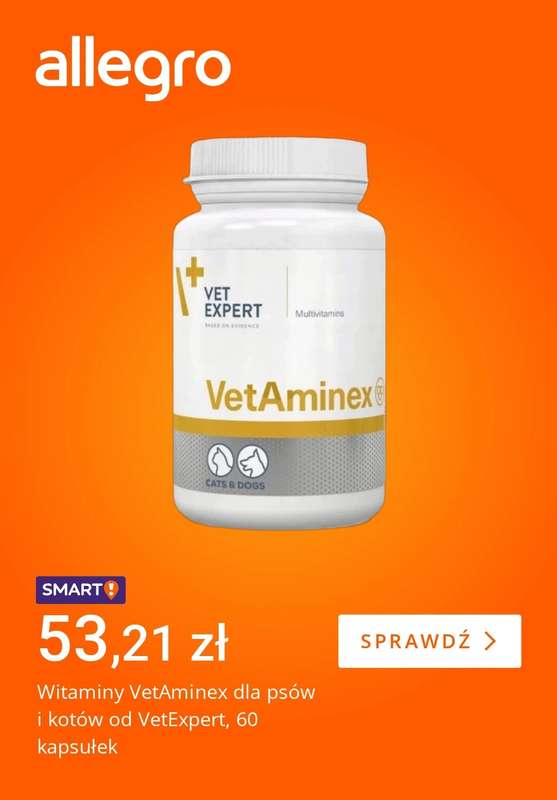 Allegro - gazetka promocyjna Świąteczne dary dla pupila od piątku 05.12 do czwartku 11.12 - strona 2