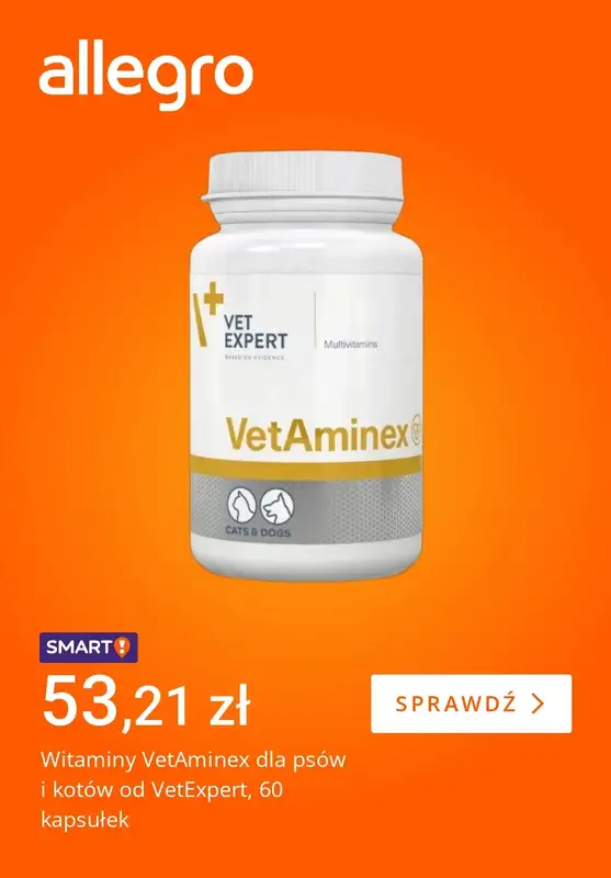 Allegro - gazetka promocyjna Świąteczne dary dla pupila od piątku 05.12 do czwartku 11.12 - strona 2