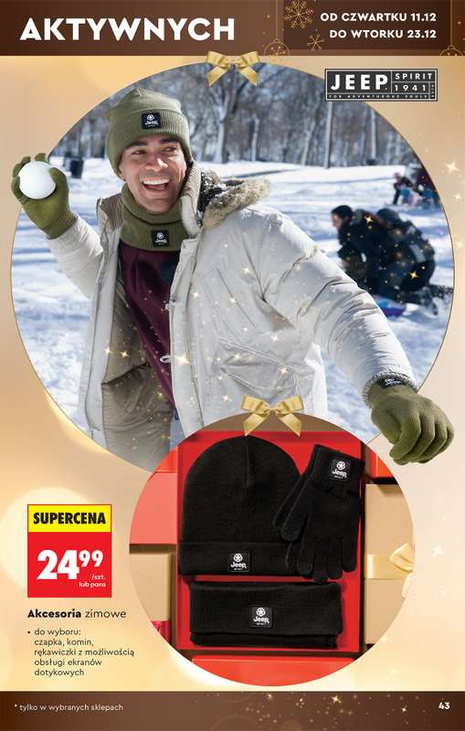 Biedronka - gazetka promocyjna Hity i inspiracje od soboty 06.12 do wtorku 23.12 - strona 43
