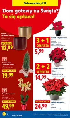 Lidl - gazetka promocyjna Oferta od czwartku od czwartku 04.12 do niedzieli 07.12 - strona 72