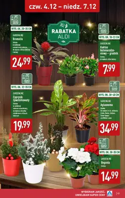 Aldi - gazetka promocyjna Pełny katalog! od poniedziałku 01.12 do niedzieli 07.12 - strona 43