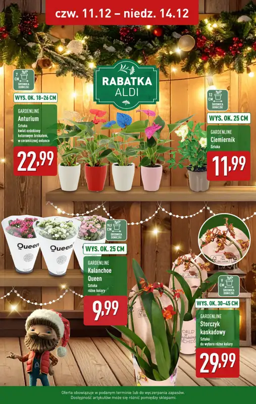 Aldi - gazetka promocyjna Pełny katalog! od poniedziałku 08.12 do niedzieli 14.12 - strona 39