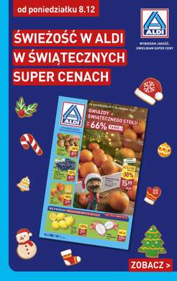 Aldi - gazetka promocyjna Pełny katalog! od poniedziałku 08.12 do niedzieli 14.12 - strona 22