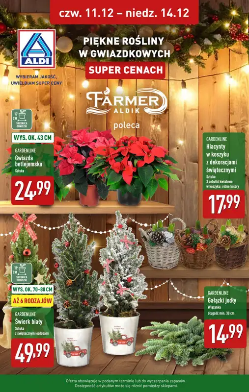 Aldi - gazetka promocyjna Pełny katalog! od poniedziałku 08.12 do niedzieli 14.12 - strona 38