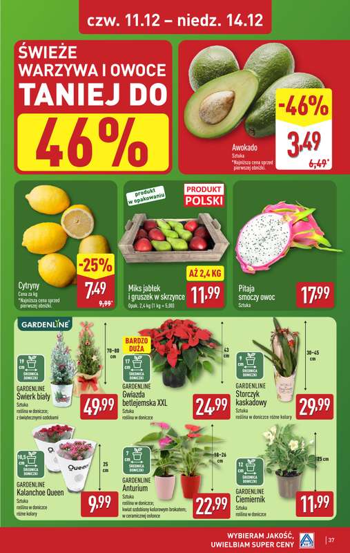 Aldi - gazetka promocyjna Pełny katalog! od poniedziałku 08.12 do niedzieli 14.12 - strona 37