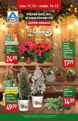 Aldi - gazetka promocyjna Piękne rośliny w gwiazdkowych super cenach! od czwartku 11.12 do niedzieli 14.12