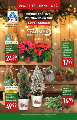 Aldi - gazetka promocyjna Piękne rośliny w gwiazdkowych super cenach! od czwartku 11.12 do niedzieli 14.12