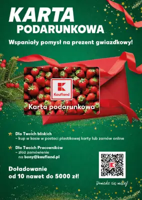 Kaufland - gazetka promocyjna Mocny Start od poniedziałku 08.12 do wtorku 09.12 - strona 19