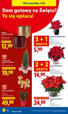 Lidl - gazetka promocyjna Oferta od czwartku od czwartku 04.12 do niedzieli 07.12 - strona 72