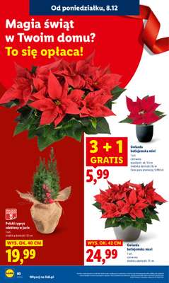 Lidl - gazetka promocyjna Oferta od poniedziałku od poniedziałku 08.12 do środy 10.12 - strona 68