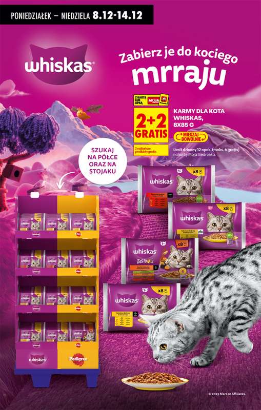 Biedronka - gazetka promocyjna Od poniedziałku od poniedziałku 08.12 do niedzieli 14.12 - strona 92