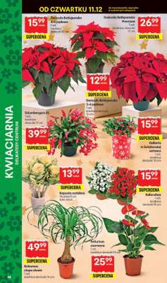 Delikatesy Centrum - gazetka promocyjna Gazetka  do środy 17.12 - strona 38