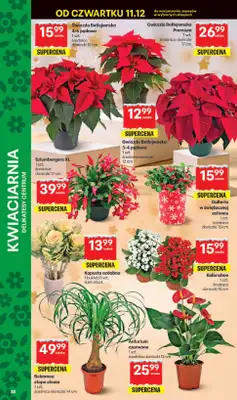 Delikatesy Centrum - gazetka promocyjna Gazetka  do środy 17.12 - strona 38