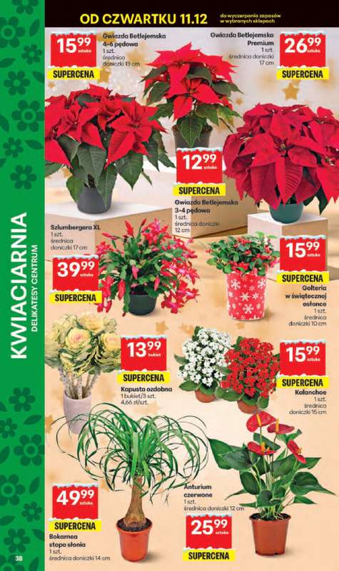 Delikatesy Centrum - gazetka promocyjna Gazetka  do środy 17.12 - strona 38
