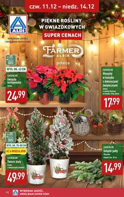 Aldi - gazetka promocyjna Weekend super cen w Aldi! od czwartku 11.12 do niedzieli 14.12 - strona 10