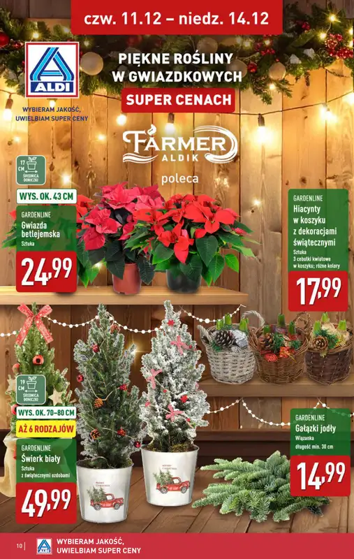Aldi - gazetka promocyjna Weekend super cen w Aldi! od czwartku 11.12 do niedzieli 14.12 - strona 10