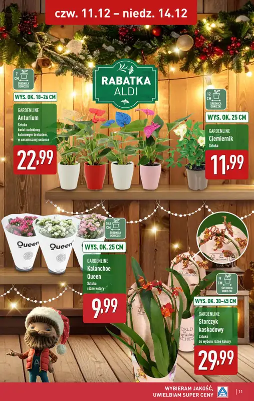 Aldi - gazetka promocyjna Weekend super cen w Aldi! od czwartku 11.12 do niedzieli 14.12 - strona 11