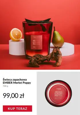 Homla - gazetka promocyjna Prezenty do 100 zł od poniedziałku 08.12  - strona 10