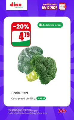 Dino - gazetka promocyjna Specjalna oferta na 09.12.2025 - promocje spoza gazetki od wtorku 09.12 do wtorku 09.12 - strona 3