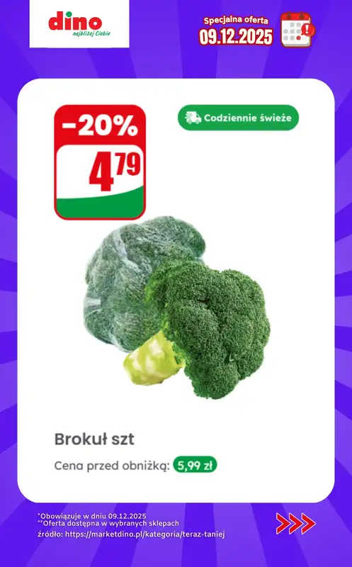 Dino - gazetka promocyjna Specjalna oferta na 09.12.2025 - promocje spoza gazetki   - strona 3