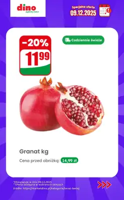 Dino - gazetka promocyjna Specjalna oferta na 09.12.2025 - promocje spoza gazetki od wtorku 09.12 do wtorku 09.12 - strona 2