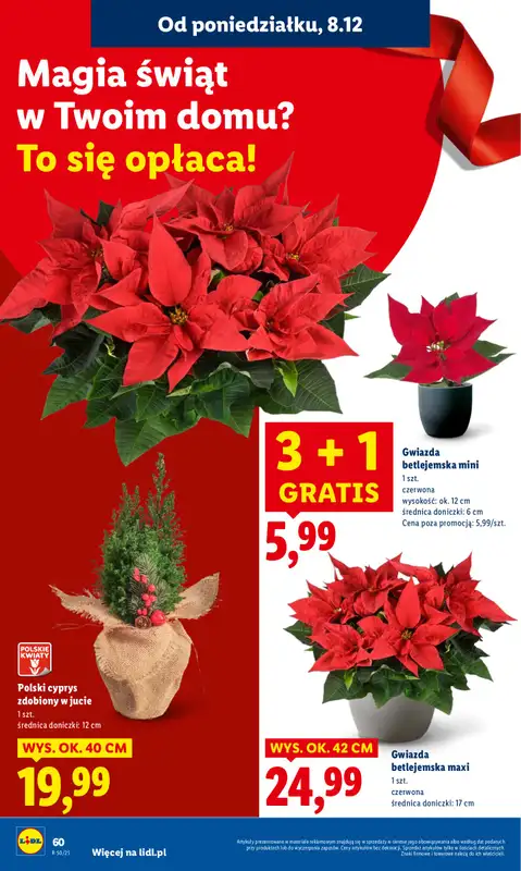 Lidl - gazetka promocyjna Oferta od poniedziałku od poniedziałku 08.12 do środy 10.12 - strona 67