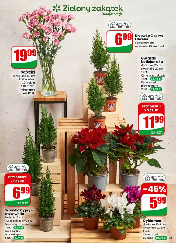 Dino - gazetka promocyjna Gazetka od środy 10.12 do wtorku 16.12 - strona 61