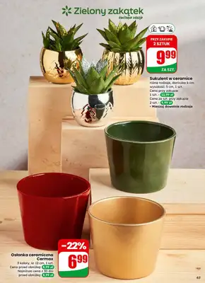 Dino - gazetka promocyjna Gazetka od środy 10.12 do wtorku 16.12 - strona 63