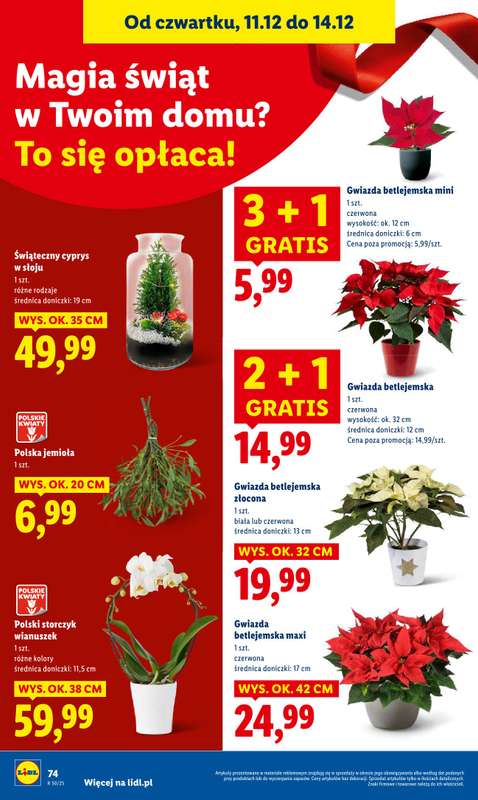 Lidl - gazetka promocyjna Od czwartku od czwartku 11.12 do niedzieli 14.12 - strona 74