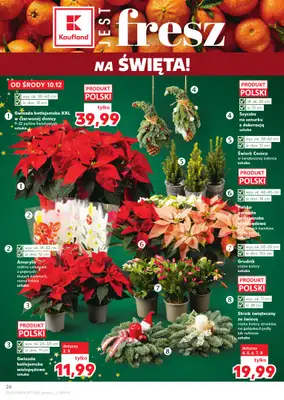 Kaufland - gazetka promocyjna Oferta Kaufland od środy 10.12 do wtorku 16.12 - strona 26