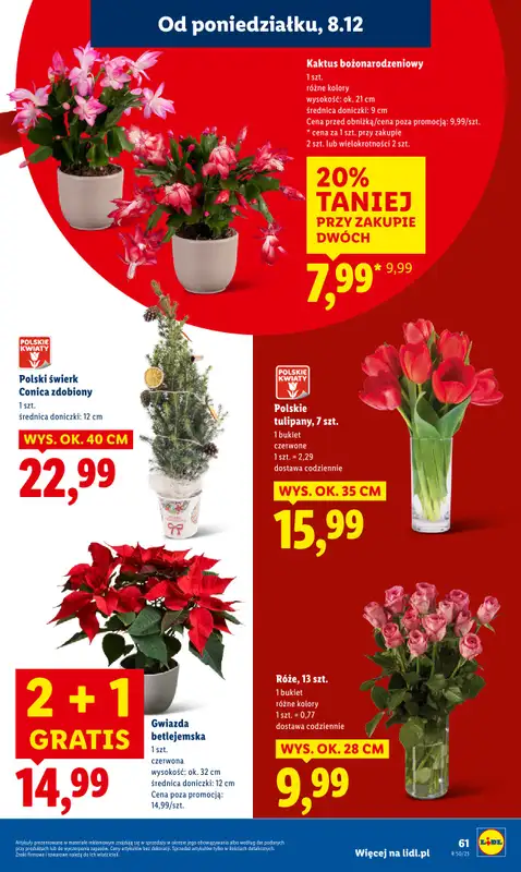 Lidl - gazetka promocyjna Oferta od poniedziałku od poniedziałku 08.12 do środy 10.12 - strona 69