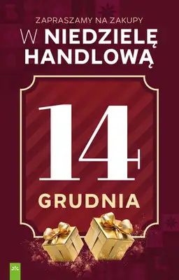 Stokrotka - gazetka promocyjna Gazetka Market od czwartku 11.12 do środy 17.12 - strona 3