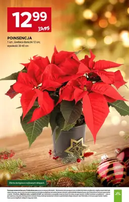 Stokrotka - gazetka promocyjna Gazetka Market od czwartku 11.12 do środy 17.12 - strona 5