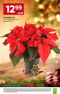 Stokrotka - gazetka promocyjna Gazetka Supermarket od czwartku 11.12 do środy 17.12 - strona 8