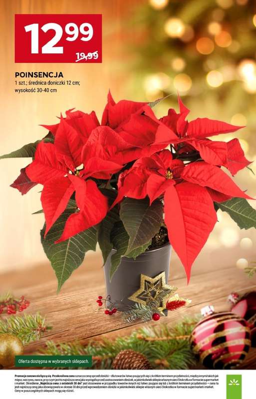 Stokrotka - gazetka promocyjna Gazetka Supermarket od czwartku 11.12 do środy 17.12 - strona 8