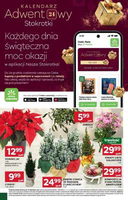 Stokrotka - gazetka promocyjna Gazetka Supermarket od czwartku 11.12 do środy 17.12 - strona 26