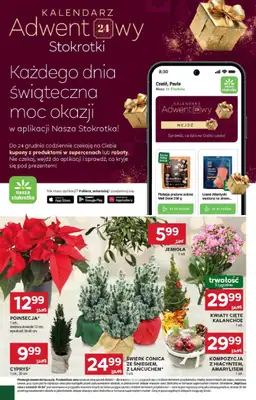 Stokrotka - gazetka promocyjna Gazetka Supermarket od czwartku 11.12 do środy 17.12 - strona 26