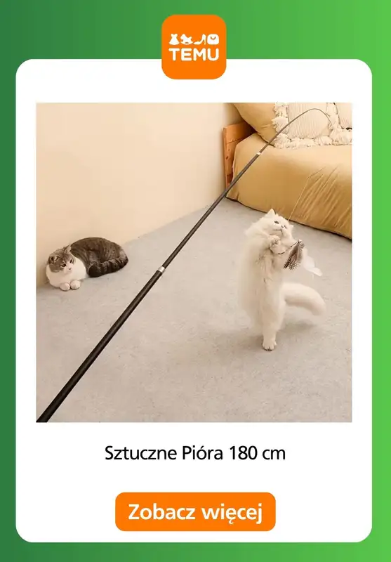 Temu - gazetka promocyjna Zabawki dla zwierząt od czwartku 11.12  - strona 2