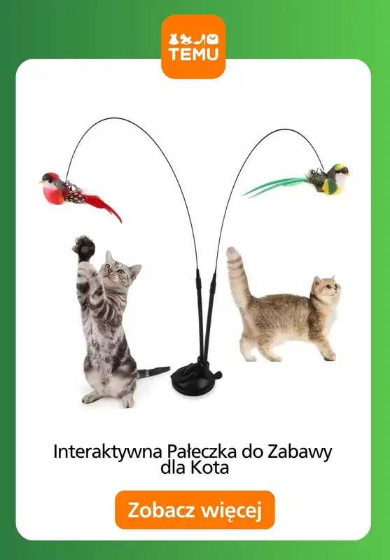 Temu - gazetka promocyjna Zabawki dla zwierząt od czwartku 11.12  - strona 11
