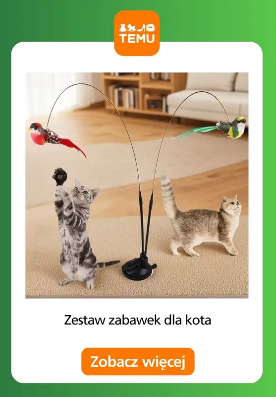 Temu - gazetka promocyjna Zabawki dla zwierząt od czwartku 11.12  - strona 6