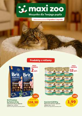 MAXI ZOO - gazetka promocyjna Gazetka  do środy 07.01