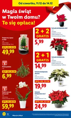 Lidl - gazetka promocyjna Oferta od czwartku od czwartku 11.12 do niedzieli 14.12 - strona 74