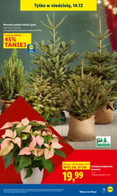 Lidl - gazetka promocyjna Oferta od czwartku od czwartku 11.12 do niedzieli 14.12 - strona 75