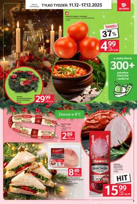 Selgros - gazetka promocyjna Jeszcze więcej super promocji! od czwartku 11.12 do środy 17.12 - strona 3
