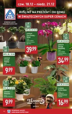 Aldi - gazetka promocyjna Weekend super cen w Aldi! od czwartku 18.12 do niedzieli 21.12 - strona 18