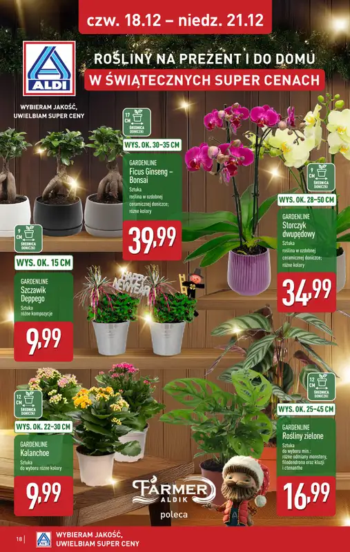 Aldi - gazetka promocyjna Weekend super cen w Aldi! od czwartku 18.12 do niedzieli 21.12 - strona 18